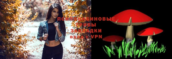 эйфоретик Аркадак