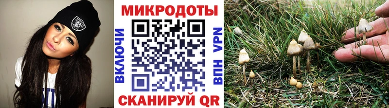 Галлюциногенные грибы прущие грибы  Рошаль 