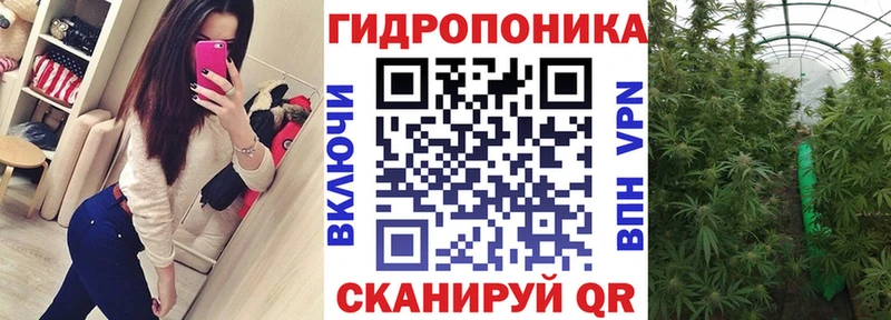 Канабис семена  купить   Рошаль 